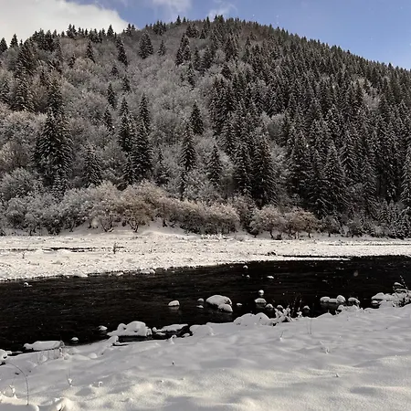 Апартаменты Shalet