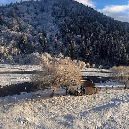 Shalet Апартаменты *