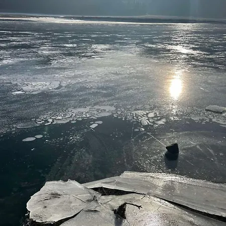 Shalet
